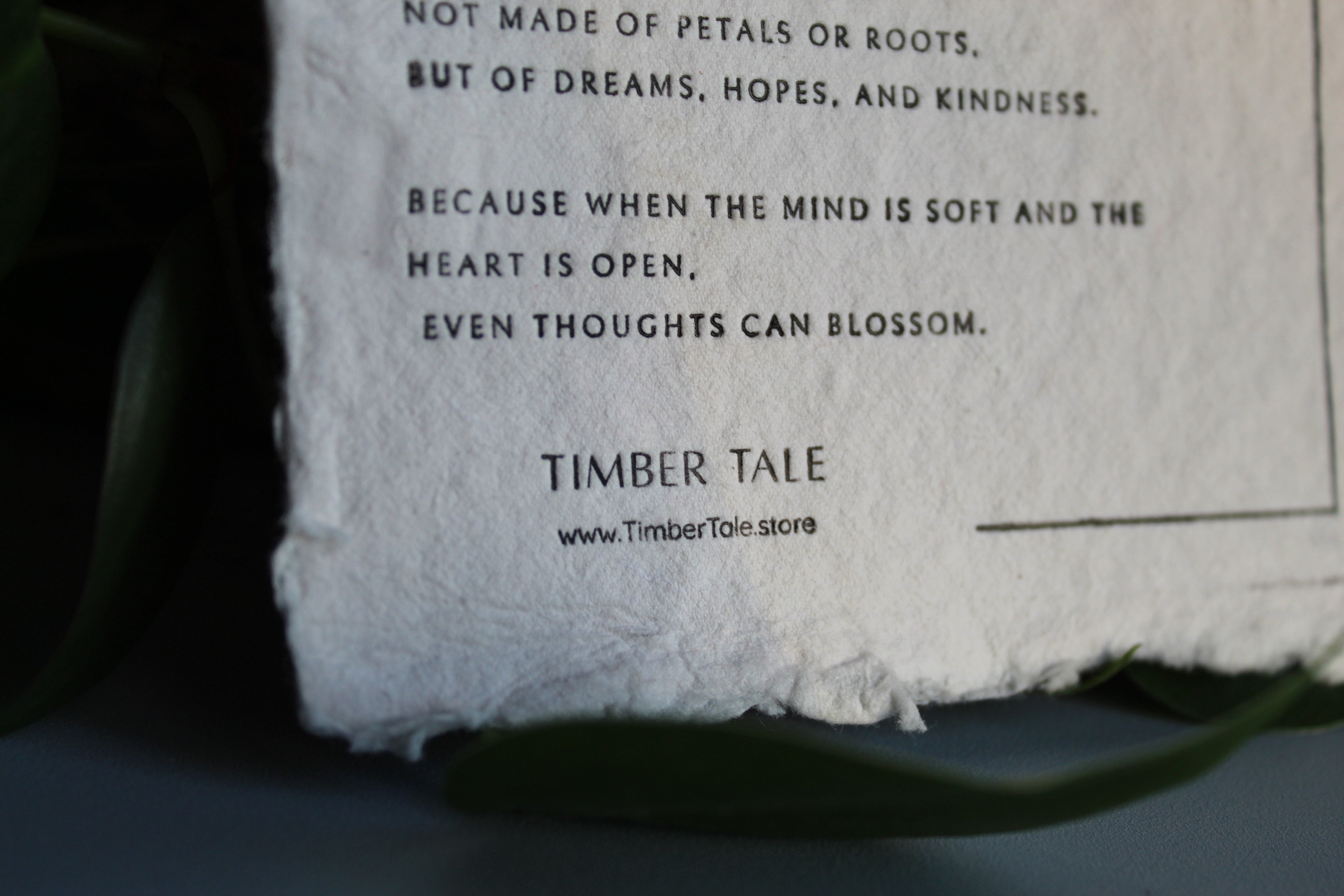 Head in Bloom _ Embossed Story Card