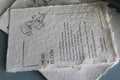 Head in Bloom _ Embossed Story Card